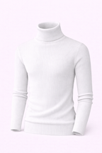 Turtleneck Ribbed Sweater